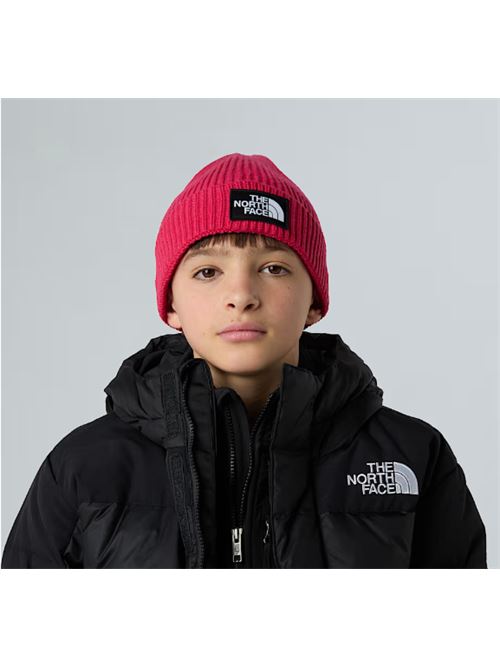 kids tnf logo box THE NORTH FACE | NF0A8CGUBOS1